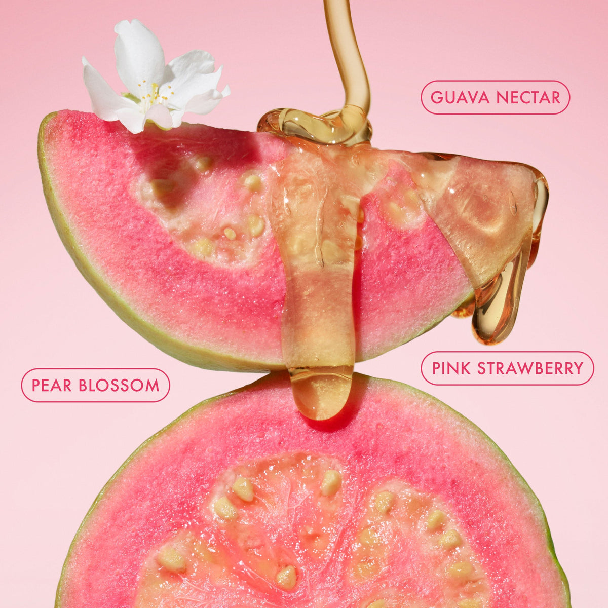 mini-body-butter-trio-k3 BodyButterBalmPinkGuava_3.jpg