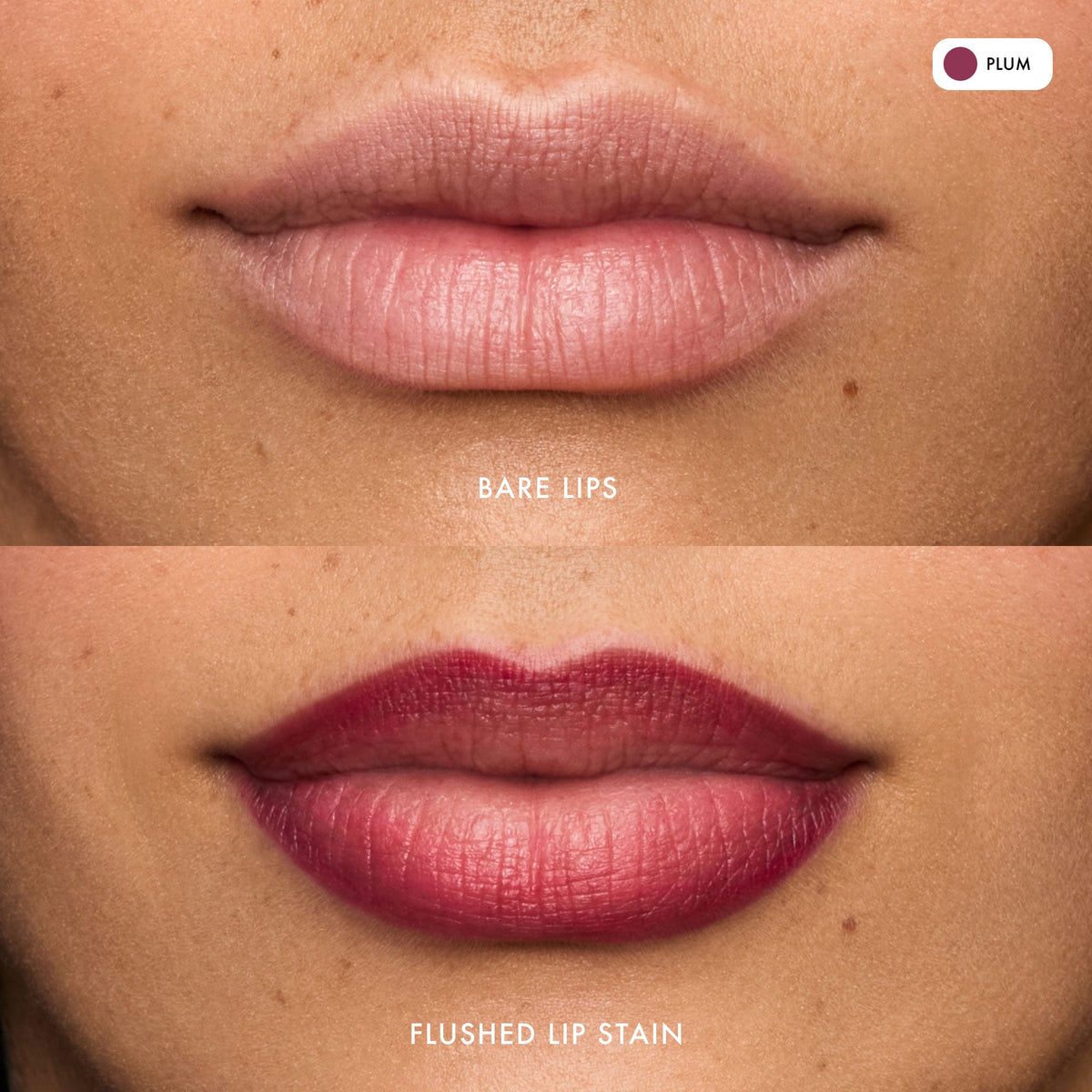 flushed-lip-stain-plum-k6 FlushedLipStain_Plum_B_A.jpg