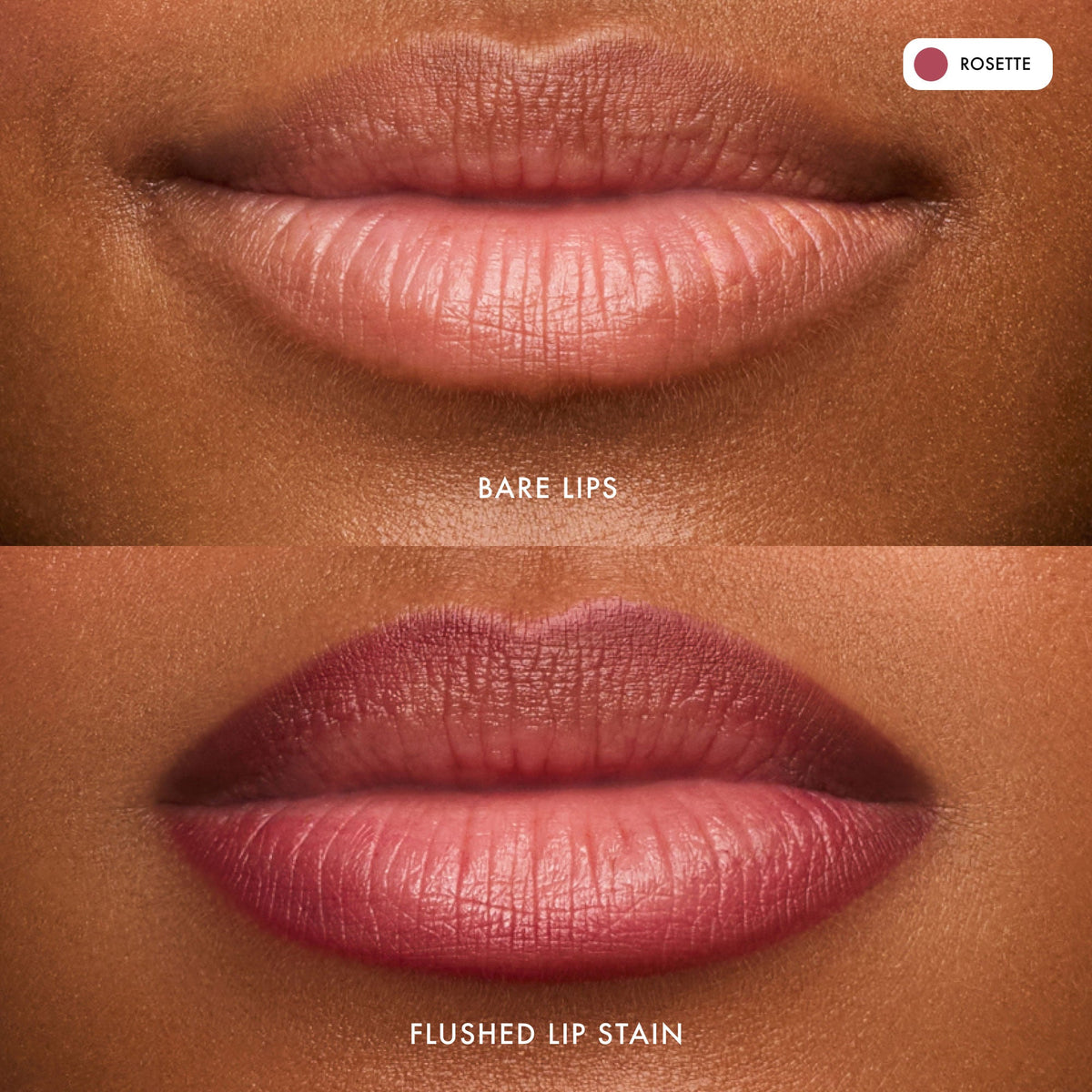 flushed-lip-stain-rosette-u5 FlushedLipStain_Rosette_B_A.jpg