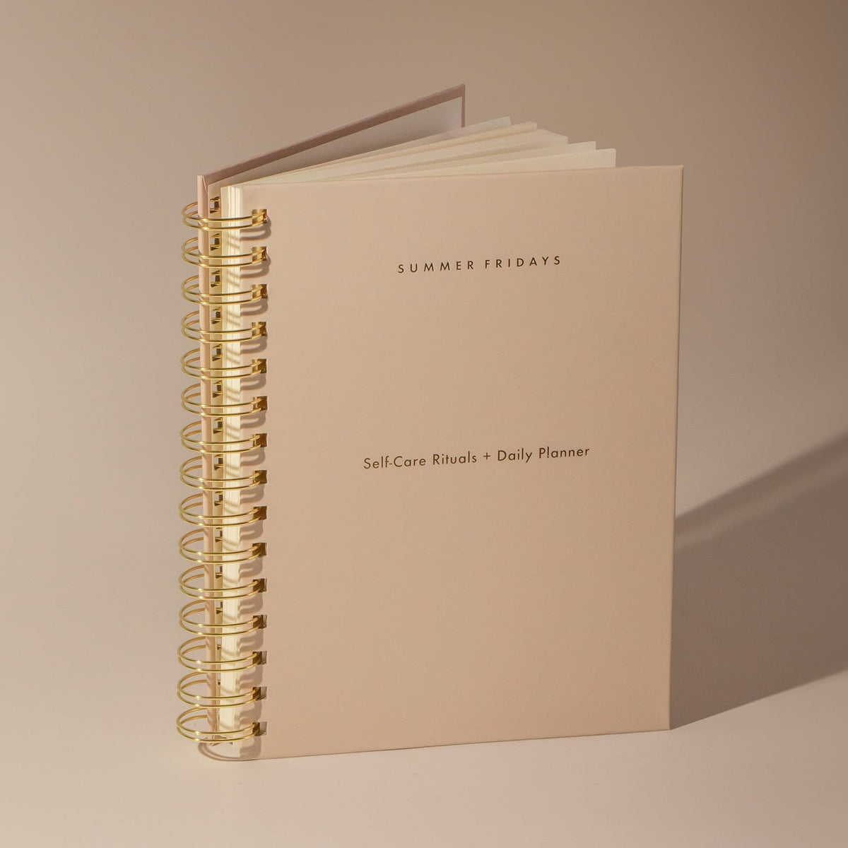 self-care-rituals-daily-planner-l1 Planner-Main-V2.jpg