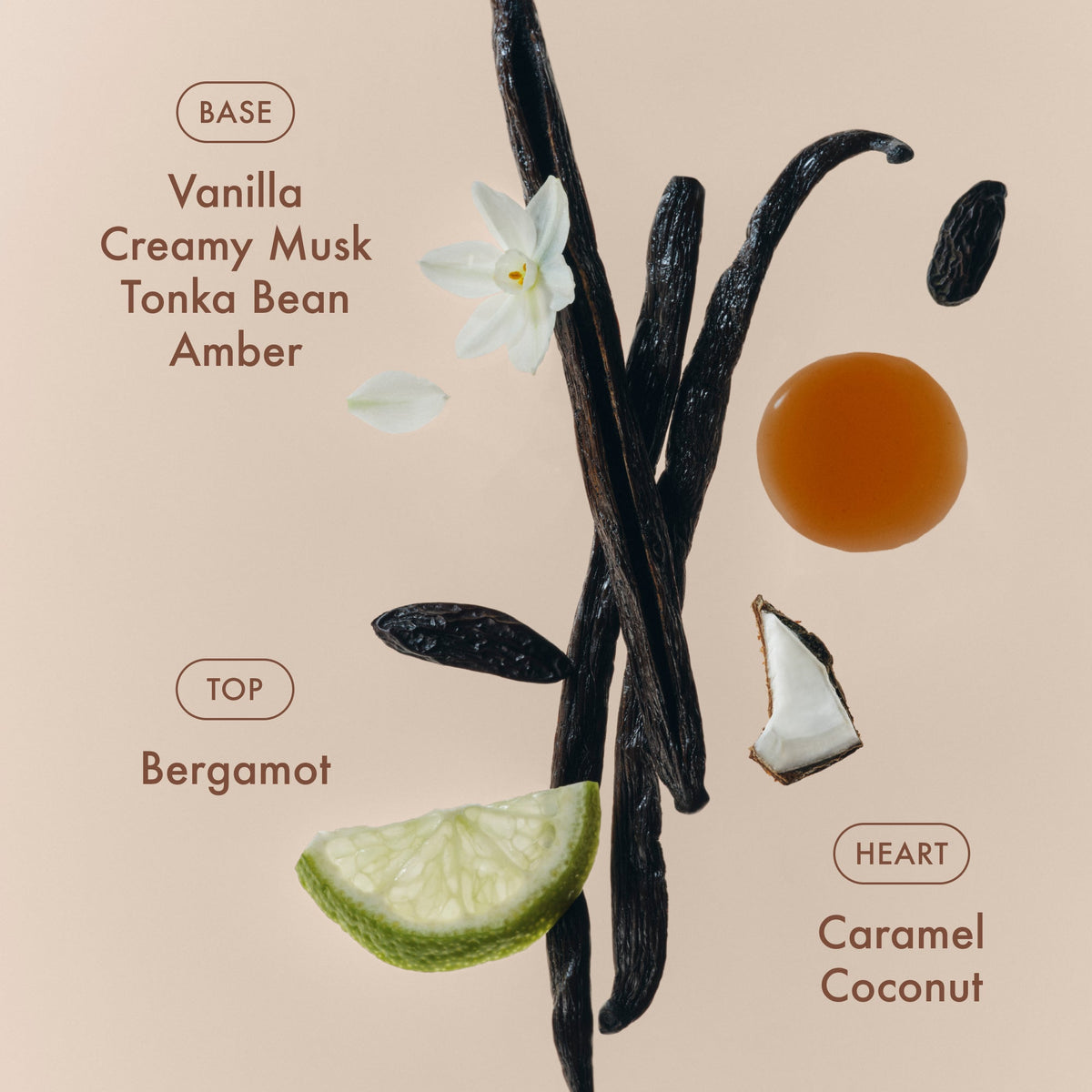 sunlit-vanillatm-eau-de-parfum-b0 SunlitVanilla_4.jpg